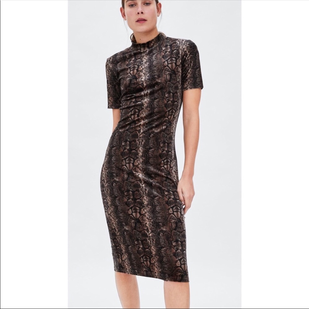 Zara Trafaluc S velvet snake skin tight midi